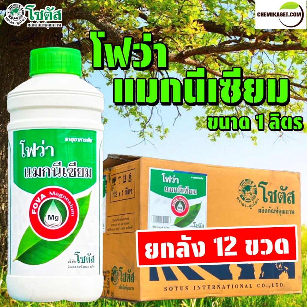 (ยกลัง12ขวด) โฟว่า แมกนีเซียม ขนาด 1 ลิตร ของแท้ บ.โซตัส