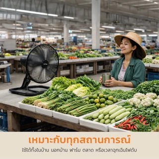 LAMPTAN พัดลมพลังงานแสงอาทิตย์ รุ่น STS-02 17 นิ้ว พร้อมที่ชาร์จ USB [5 ใบพัด]
