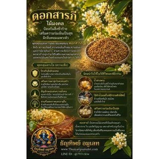 ส้มป่อย (ชุดส้มป่อย เดือน5) ปี2569 (ส้มป่อยเดือน5+ดอกสารภี+ดอกคำฝอย (ทำน้ำมนต์ แก้ของเสื่อม สรงน้ำพระ รดน้ำดำหัว)