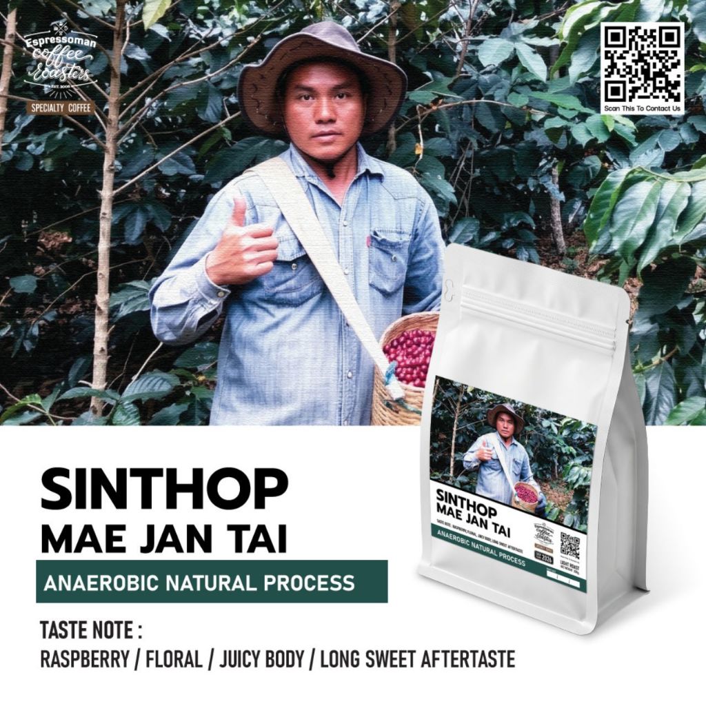 SINTHOP MAIJANTAI ANAEROBIC NATURAL PROCESS เมล็ดกาแฟคั่วอ่อน จากพี่สินธพ แม่จันใต้ เหมาะสำหรับทำ Filter และ Espresso
