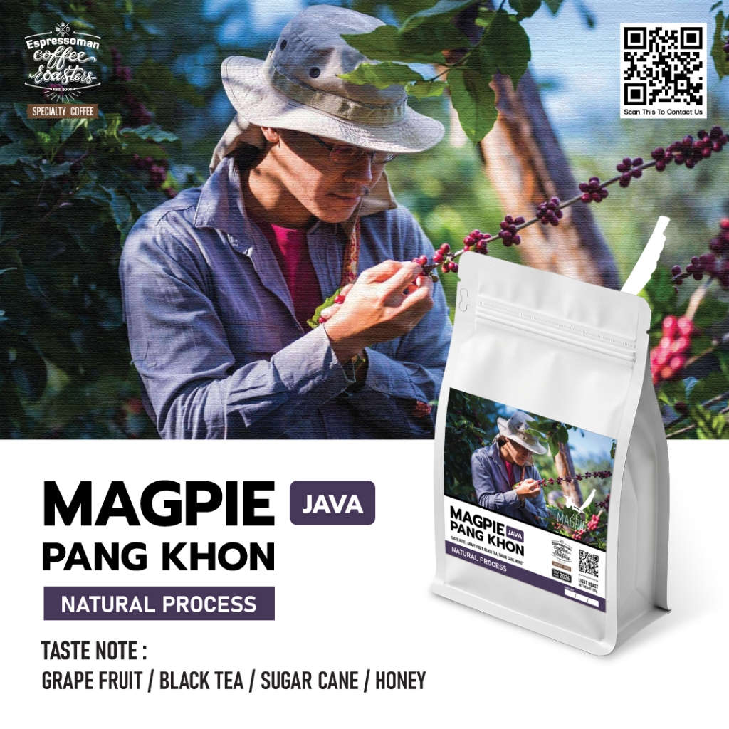 Magpie Farm Java Natural Process เมล็ดกาแฟพิเศษคั่วอ่อน จากแม๊กพายฟาร์ม สายพันธุ์จาวา เหมาะสำหรับทำ Filter และ Espresso
