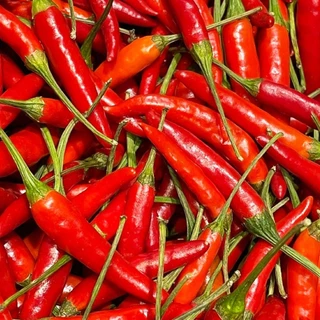 🛒Oishi-Fresh🌶️พริกจินดาแดง ปลอดสารพิษ รสชาติ กรอบ สด ใหม่ ใยอาหารสูง หวานออร์แกนิค จัดส่ง 24 ชม.