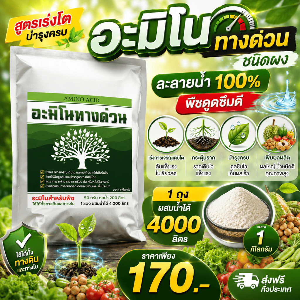 อะมิโนทางด่วน ชนิดผง Amino Acid สำหรับพืช ละลายน้ำ 100% ดูดซึมไว เร่งราก เร่งโต บำรุงใบ ดอก ผล ถุงละ1กิโล