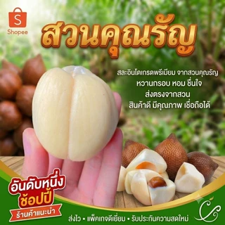 สละอินโดสายน้ำผึ้ง สดจากสวน ตัดตามออร์เดอร์