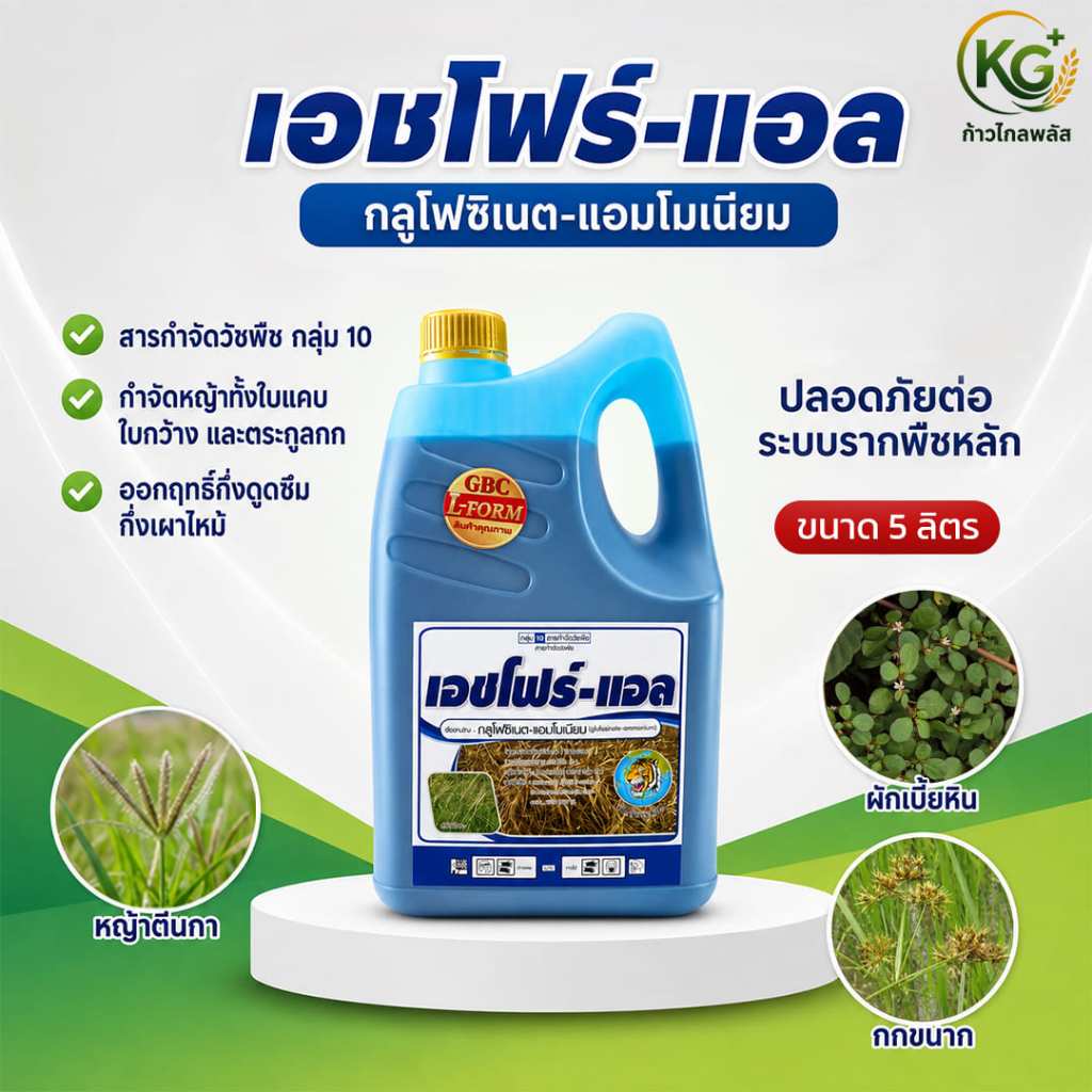 เอชโฟร์-แอล กลูโฟซิเนต 5ลิตร สูตร L-Form  กึ่งดูดซึมเผาไหม้ ยาฆ่าหญ้า แห้วหมู หัวเสือลูกโลก