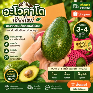 AVO DOI อโวคาโดสดจำนวน 1 กิโลกรัม ขนาด 3-4 ลูก จากเชียงใหม่