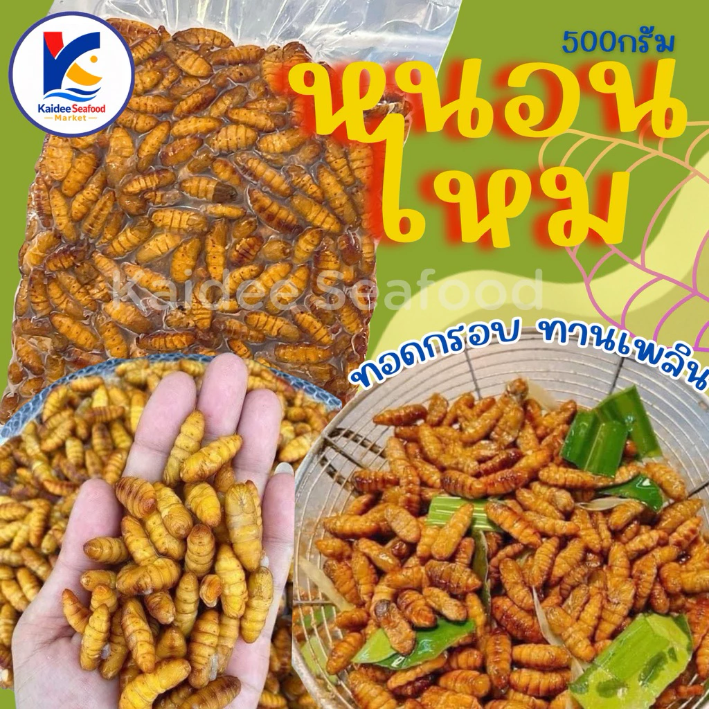 หนอนไหม ดักแด้ไหม 500g. 🐛🔥 หนอนไหมสด หนอนไหมทอดกรอบ 🚛เหมาค่าส่ง ฟรีกล่องโฟม!! ทุกจังหวัดทั่วไทย🎉