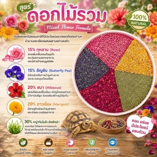 [EXP07/2028]🐢สินค้าใหม่🧡💛ผงโรยอาหารเต่าบก 3สูตร เพื่อสร้างสุขภาพการกินที่ดี วัตถุดิบธรรมชาติ100%เกรดพรีเมี่ยม