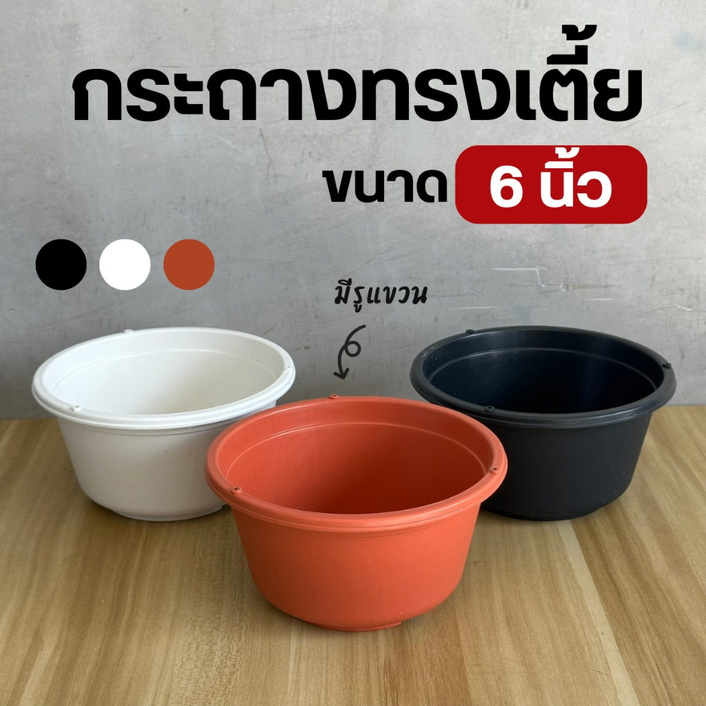 กระถางขนาด 6 นิ้ว ทรงเตี้ย กระถางต้นไม้พลาสติก กกระถางต้นไม้คุณภาพดี