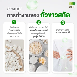 B&B สารสกัดจากถั่วขาว White Kidney Bean Extract (ถั่วขาว ถั่วขาวสกัด บล็อคแป้ง บล็อคน้ำตาล Carb Blocker)