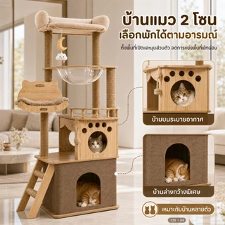 [FurryJoy]คอนโดแมว 150cm หลุมอวกาศใสใหญ่พิเศษ ไม่โยก ไม่ติดขน รับแมวตัวใหญ่ 1-3 ตัว แข็งแรง ทนทาน