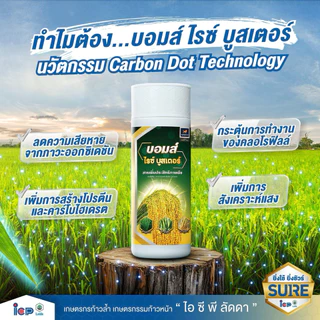บอมบ์ ไรซ์บูสเตอร์ ไอซีพี ลัดดา ผลิตใหม่2569 เสริมการสังเคราะห์แสง สร้างอาหารพืช 1ลิตร