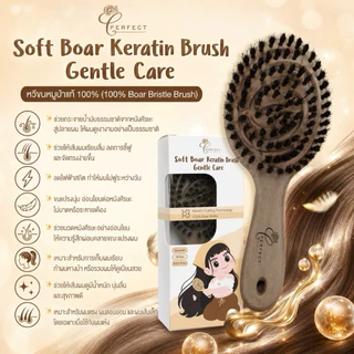 Perfect หวีขนหมูป่าแท้ 100% เส้นผมเงางาม สุขภาพดี ผสานเทคโนโลยี Keratin Coating หวีง่าย ไม่พันกัน พร้อมลดไฟฟ้าสถิต