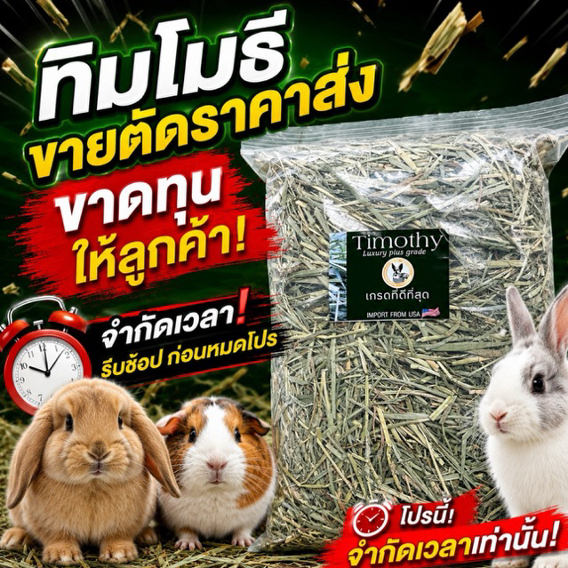 เริ่มที่ 29บาท ทิมโมธี เกรดดีที่สุดในshopee เกรดลัคชูรี่ สำหรับกระต่ายและหนู