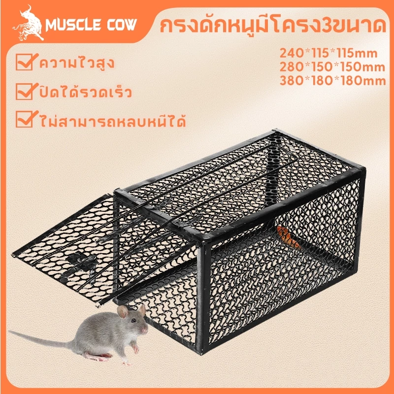 MUSCLE COW กรงดักหนูสปริง2ตัวโครงหนา กรงดักหนู กรงดักหนูแบบมีโครง