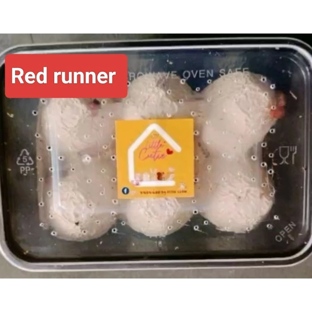 3ed Runner เรoรันเนอร์ (Turkestan cockroach) 10-25 กรัม