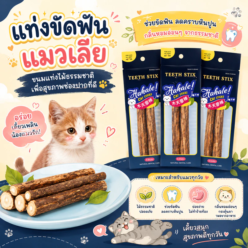 🌵 catnip5แท่ง ไม้มาทาทาบิ ก้านมาทาทาบิ ขัดฟันแมว ไม้แมวเมา matatabi ขัดฟันแมว ไม้ขัดฟัน 🌵