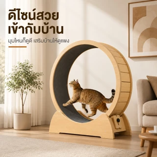 😺 ลู่วิ่งแมว ล้อวิ่งกีฬาไม้เนื้อแข็ง ล้อวิ่งแมว ขนาดใหญ่ ที่ออกกำลังกายสัตว์เลี้ยง ออกกำลังกาย 4.0