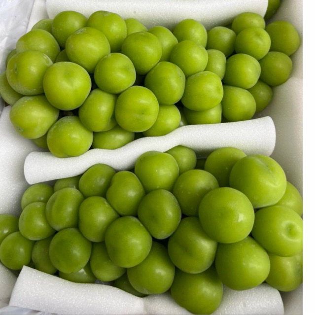 องุ่นไซมัสคัส  2 ช่อ (นน รวม 1.6++) กรอบๆ อร่อย