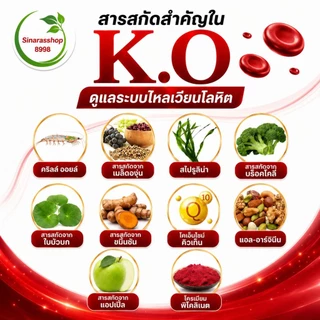 K.O เค.โอ ผลิตภัณฑ์เสริมอาหาร ดูแลระบบเลือด ของแท้จากสำนักงานใหญ่