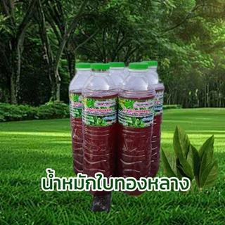 น้ำหมักใบทองหลาง (จุลินทรีย์สังเคราะห์แสงจากใบทองหลางน้ำก้านแดง) ขนาด 500 และ 1,450 มล. พร้อมใช้งาน