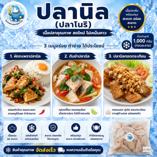 เนื้อปลานิลหั่น 1,000 กรัม (ก่อนละลาย) ปลาโนริ เนื้อปลาแช่แข็ง พร้อมปรุง ทอด ต้ม ผัด