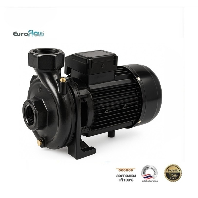 EUROFLOW ปั๊มน้ำหอยโข่ง รุ่น WC200 Plus 2HP ท่อ 2นิ้วx2นิ้ว 2แรงม้า