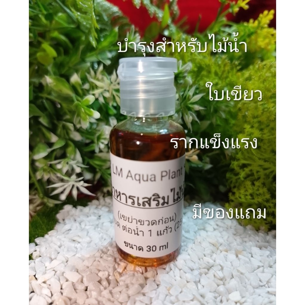 LM Aqua Plant สำหรับไม้น้ำ ใบเขียว รากแข็งแรง