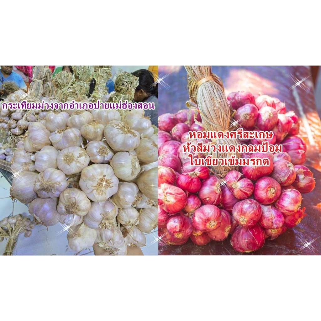 กระเทียมไทยตัดจุกและหอมแดงตัดจุก(จัดโปรกระเทียมครึ่งกิโลและหอมแดงครึ่งกิโล รวมเป็น 1 กิโล คละไซส์)