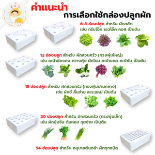 (ส่งด่วน) กล่องโฟมปลูกผักไฮโดรโปนิกส์ ลังโฟมปลูกผัก ขนาด 24 ลิตร พร้อมถ้วยปลูกและถุงรองกล่องโฟม