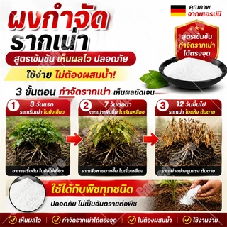 🔥รากเน่ารากไม่ขึ้นอีก🔥 ยากำจัดต้นไม้ใหญ่ 500g สารกำจัดกอไผ่ ผงกำจัดต้นไผ่ ยาฆ่าตอไม้ กำจัดวัชพืชรากเน่า
