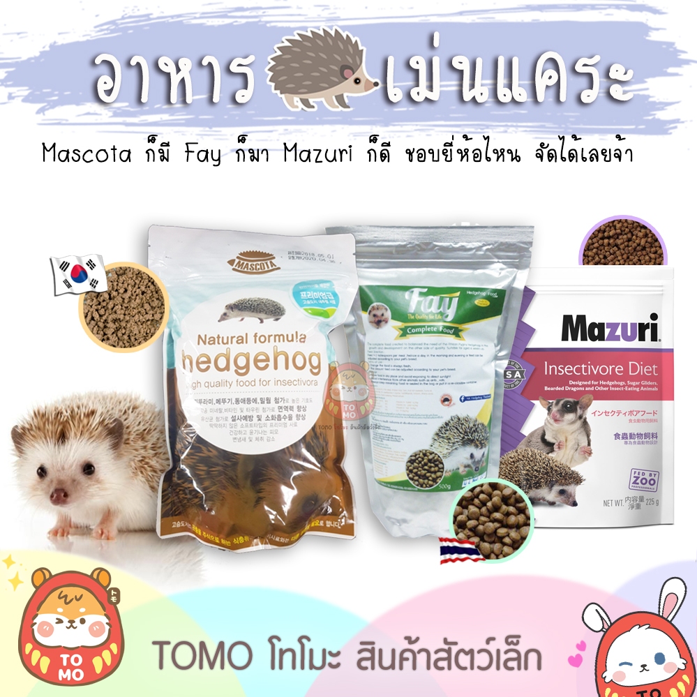 ร้านโทโมะ อาหารเม่น มาสโคต้า เฟย์ มาซูริ เลียหนาม Mascota Fay Mazuri CASA Exotic Nutrition อาหารเม่นแคระ