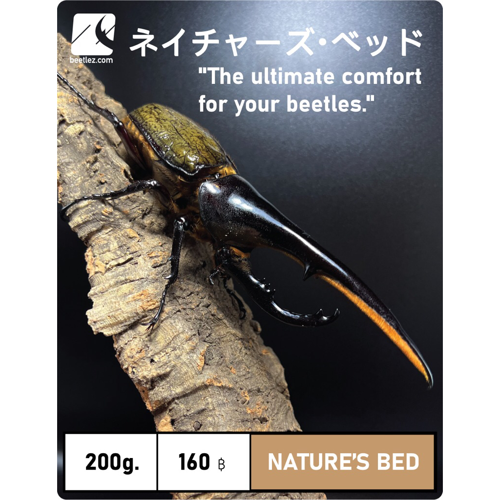 ✨NATURE'S BED ✨ "The ultimate comfort for your beetles" ปูพื้นด้วง🪲