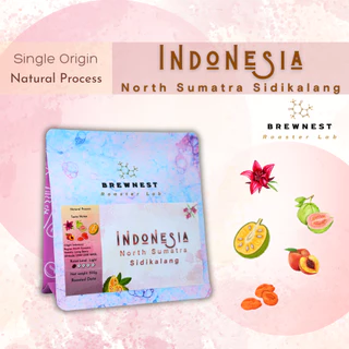 เมล็ดกาแฟคั่วอ่อน Indonesia North Sumatra Sidikalang Natural | Long Berry - BREWNEST Roaster Lab