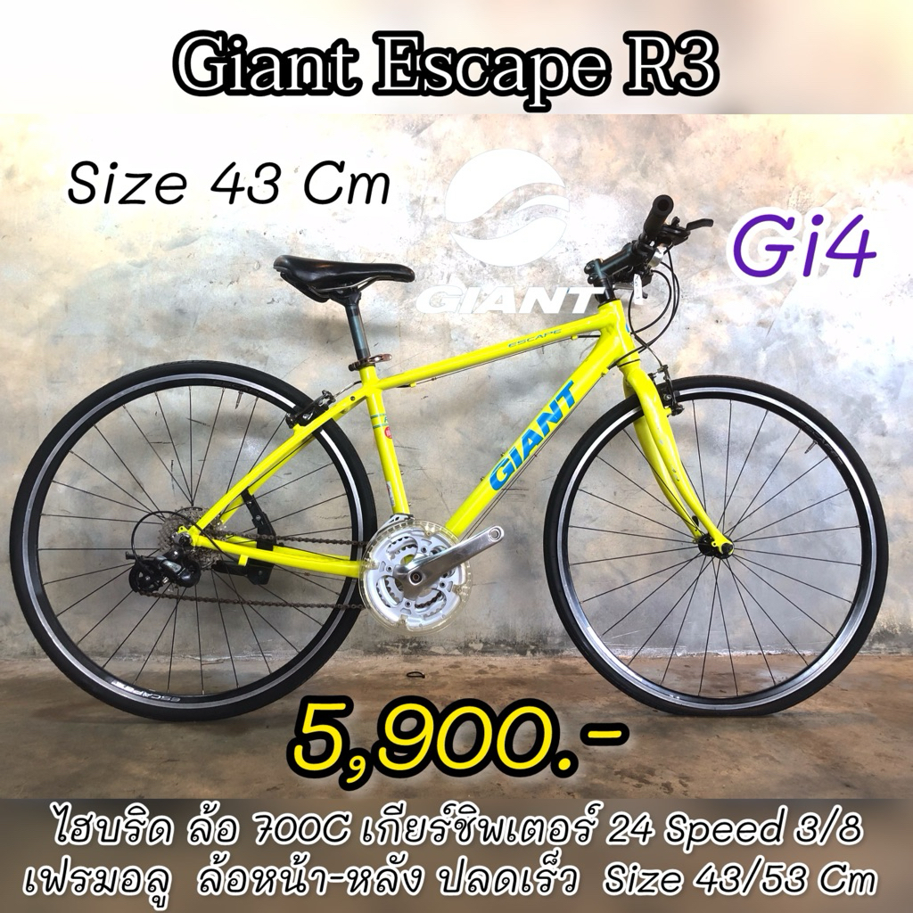 Giant Escape R3 จักรยานไฮบริด