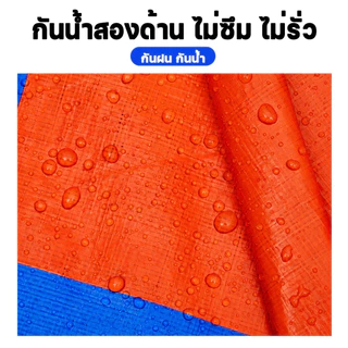 Terrathai ผ้าใบกันฝน กันแดด ขนาด 5x6 4x6 4x5 3x5 3x4 เมตร มีตาไก่ พลาสติก แบบเอนกประสงค์ คลุมรถได้ บลูชีท