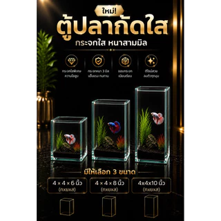 โหลเลี้ยงปลากัด ขนาด 4×4×8 นิ้ว 4x4x6 นิ้ว 4x4x10 นิ้ว กระจกหนา 3 มม.