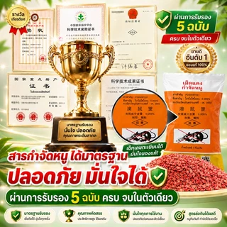 🔥ยาฆ่าหนู หนูชอบมาก ตายแห้ง เหยื่อกำจัดหนู ตายแห้ง ไม่เหม็น 100%ได้ผล ใช้ได้ในบ้านและรอบบ้าน ยาเบื่อ