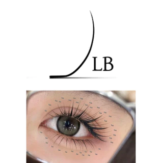 ขนตาเส้นต่อเส้น0.07 Camellia LC LB , LJ Doyin Snow Eyelash ขนตามีกาวจับช่อไม่แตก