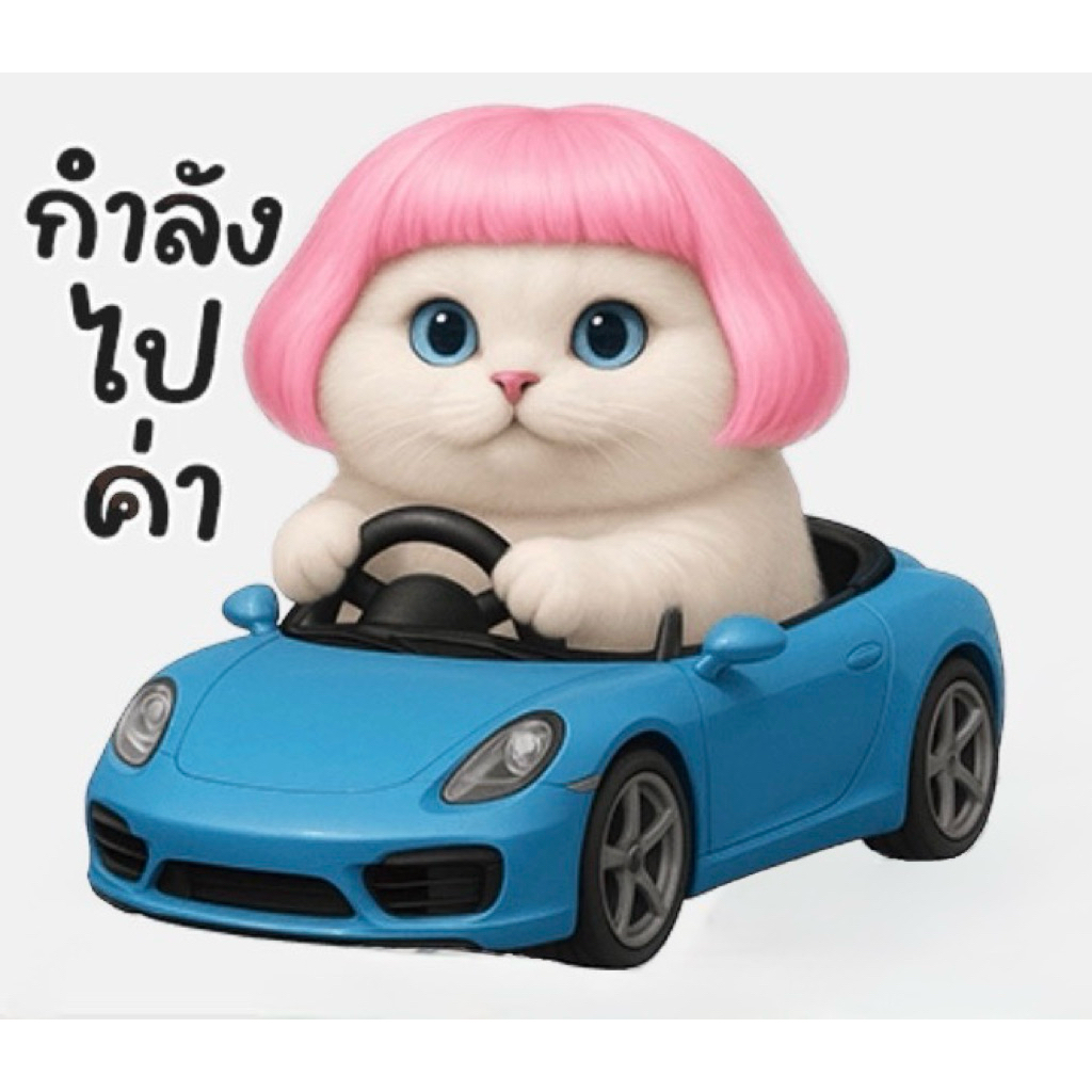ตะกร้านี้สำหรับพาน้องกลับบ้าน