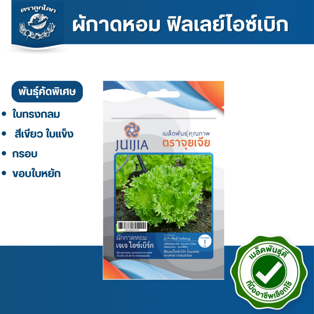 ตราลูกโลก เมล็ดผักกาดหอม ฟิลเลย์ไอซ์เบิก Lettuce เมล็ดพันธุ์ผัก ผักซอง ผักสลัด เมล็ดผักสลัด ขนาด 1 กรัม