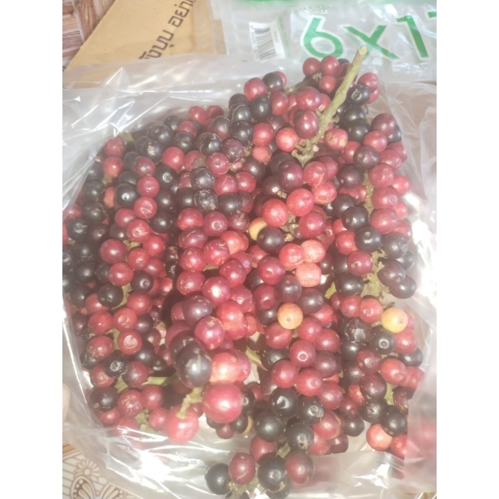 เม่าสด/มะเม่าสด/เม่าหลวงสด/ผลเม่าหลวงสด/ผลมะเม่าหลวงสดสีแดง