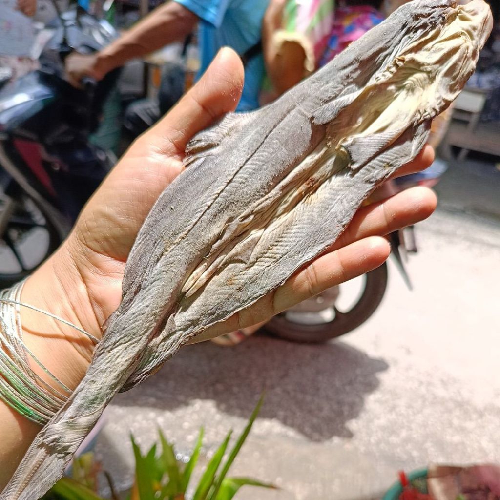 ปลาฉลามตากแห้งจากพม่า900g.