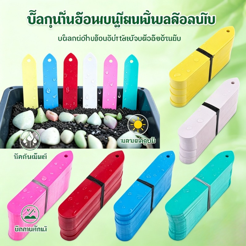 (100 ชิ้น) ป้ายชื่อต้นไม้พลาสติกกันน้ำ มีรูสำหรับห้อย ป้ายแท็กติดต้นไม้ เหมาะเนอสเซอรี่ กระถางต้นไม้ โรงงานปลูกพืช