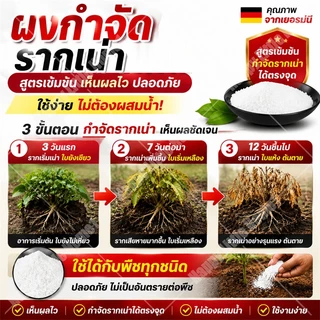 🛡️100% รากไม้เน่า ยาฆ่าต้นไม้ใหญ ยาฆ่าตอไม้ สารกำจัดกอไผ่ ตรงไปที่ราก กำจัดวัชพืชรากเน่า ขนาด 500g