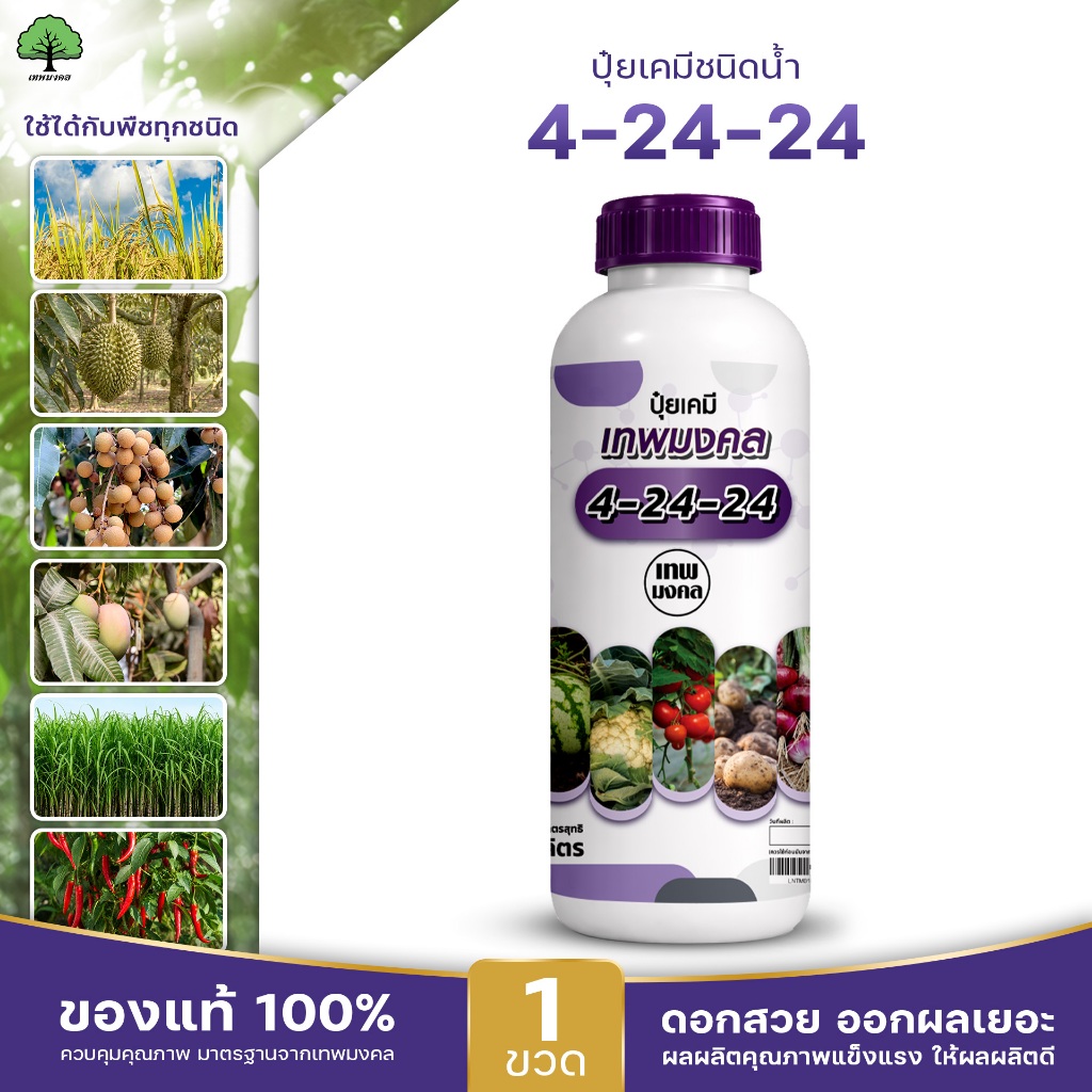 ปุ๋ยน้ำสูตร 4-24-24 ตราเทพมงคล เตรียมดอก สะสมอาหาร เปิดตาดอก เพิ่มผลผลิต เนื้อแน่นน้ำหนักดี ขนาด 1 ลิตร