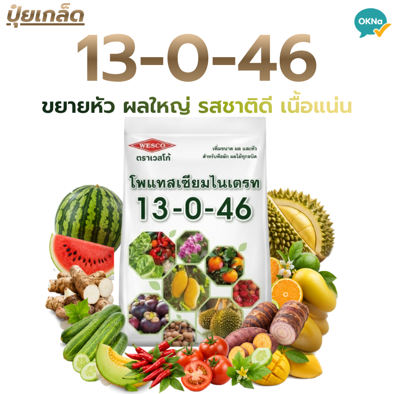 ปุ๋ยเกล็ดเวสโก้ 13-0-46 (โพแทสเซียมไนเตรท) เปิดตาดอก ดึงช่อ ปุ๋ยทำหวาน ปุ๋ยทุเรียน มะม่วง ลำใย มัน