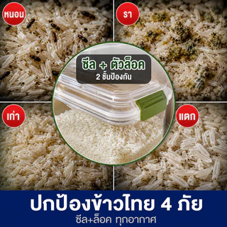JoyParty ถังเก็บข้าวสาร พร้อมถ้วยตวง กล่องเก็บข้าวสาร ความจุขนาดใหญ่ 50 ลิตร กล่องใส่ข้าวสาร มีฝาปิด ผนึกกันเเมลง