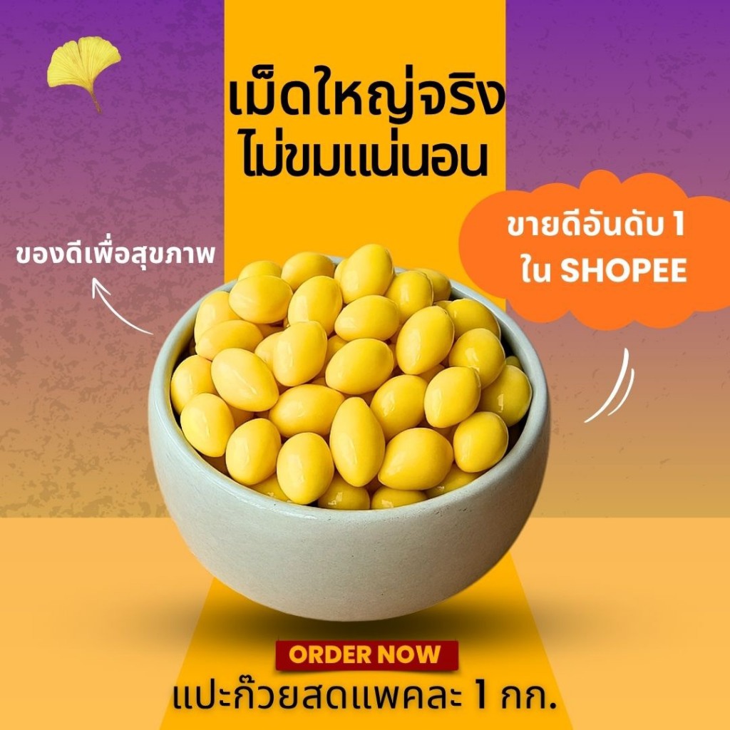 [ของแท้✅️100%] แปะก๊วยสด 1กิโล ราคาส่ง | เม็ดใหญ่ ไม่ดำ | ไม่ต้องแทงไส้ ไม่ขมแม้ไม่ออก | คัดเกรด บำรุงสมอง