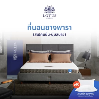 LOTUS ที่นอนยางพารา (สเปคแน่น-นุ่มสบาย) รุ่น Spring Free ส่งฟรี